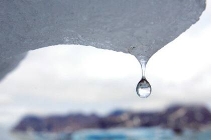El hielo marino antártico y ártico está disminuyendo, otro indicador que preocupa
