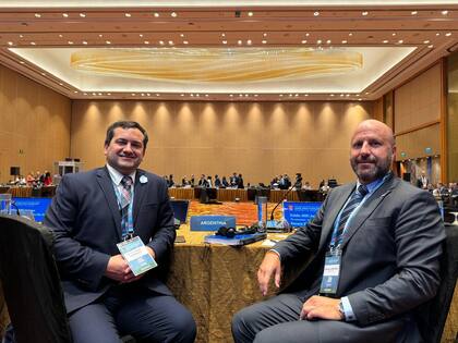 El titular de la UIF, Ignacio Yacobucci, y el presidente de la Cámara de Casación, Mariano Borinsky, en Singapur, en el encuentro del GAFI