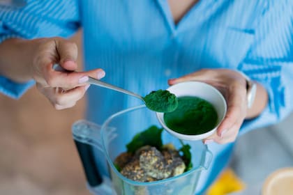 Espirulina, un gran complejo dietario (Foto: Pixabay)