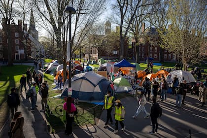 Estudiantes protestan contra la guerra en Gaza en el campus de la Universidad de Harvard, el 25 de abril de 2024, en Cambridge, Massachusetts. (AP Foto/Ben Curtis, Archivo)