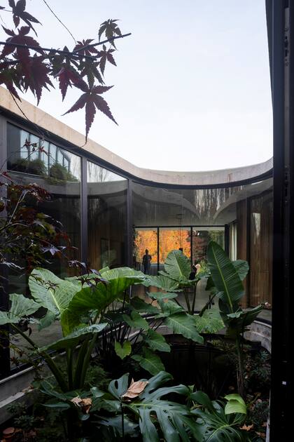 Acá hay un estanque con plantas acuáticas y carpas.