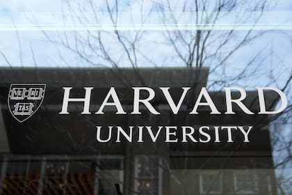 La decisión del gobierno de Trump de revocar el programa SEVP afecta directamente a miles de estudiantes internacionales