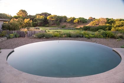 La pileta circular sigue la geometría del ventanal protagonista de la casa.