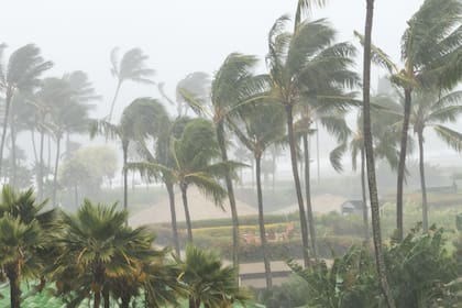 La primera tormenta tropical del océano Pacífico tomó el nombre de Alvin