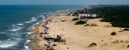 Mar, arena y pinos, una típica postal de Pinamar