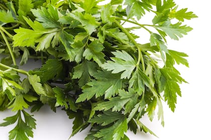 Perejil, el aliado natural para tus piernas