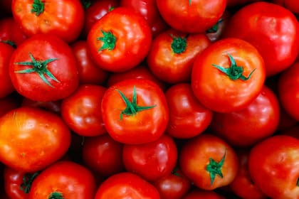 Tomates mexicanos, clave para EE.UU., enfrentarán aranceles superiores al 20% desde julio 2025, con precios que podrían subir hasta un 50%