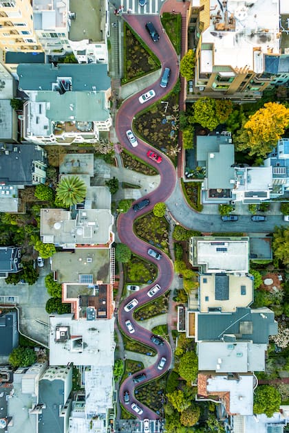 Un jardín público elevado que demuestra cómo el paisajismo urbano puede transformar completamente la experiencia.