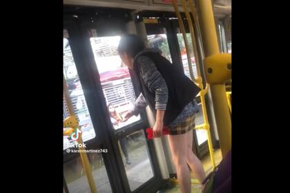 Una mujer causó temor en medio de un viaje en colectivo (Captura video)
